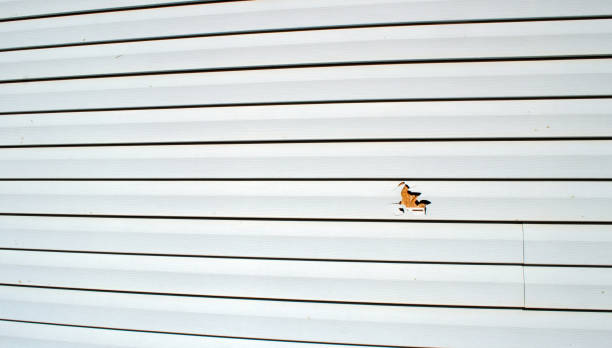 Best Siding Removal and Disposal  in Chester, CA