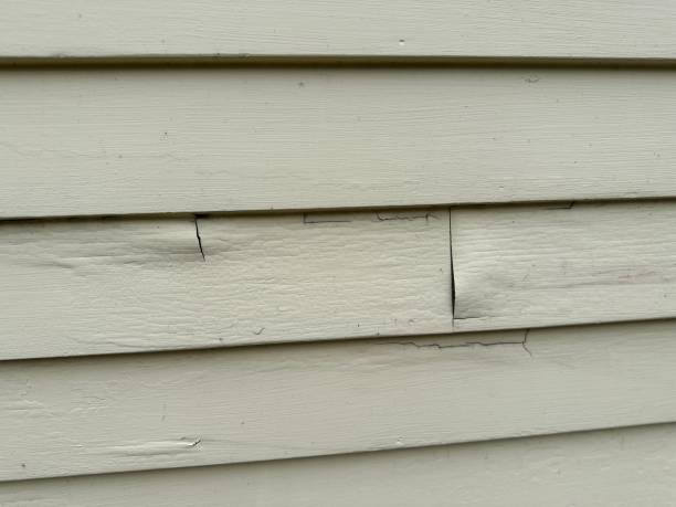 Siding for Commercial Buildings in Chester, CA